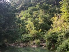 -广州白江湖森林公园