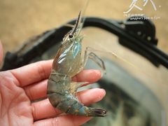 -DGE季风钓虾营地·团建·聚会