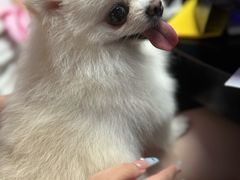 -无趣桌游狼人杀店