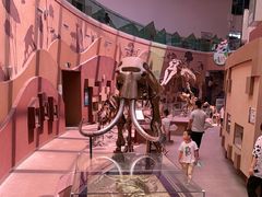 -陕西自然博物馆