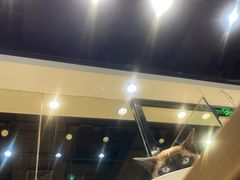 -藏猫猫咖啡主题馆(中央大道店)