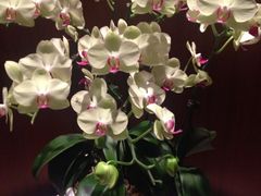 -香格里拉酒店健身中心