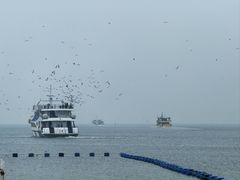 -海驴岛(荣成市)