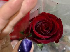 -海底捞火锅(群光广场店)