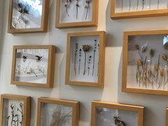 -植物学家的女儿(北马道巷店)