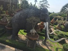 -东芭乐园