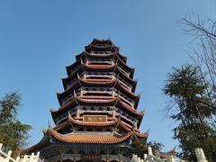 -铁山坪森林公园