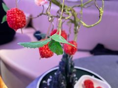 -故里和山·成都火锅(欢乐港湾店)