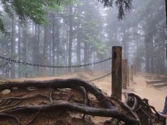 -井冈山风景名胜区-黄洋界