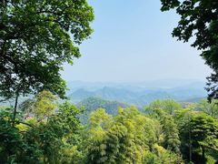 -莫干山风景区