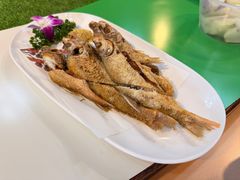 -海拉尔蒙古包(房山长阳店)