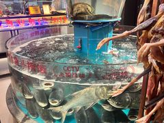 -魏铭鱼头捞饭(晋阳路店)