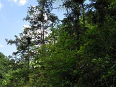 -会稽山峡洞漂流-上青古道