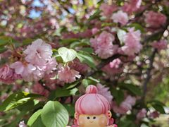 -莲花池公园