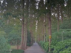 -上海怡沁园度假酒店