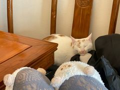 -鼎泰丰(德基广场店)