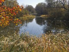 -溱湖国家湿地公园