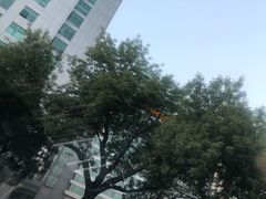 -北京丽亭华苑酒店·四季中餐厅(知春路店)
