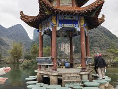 -靖西鹅泉风景区