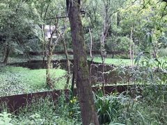 -西湖风景区-江洋畈生态公园