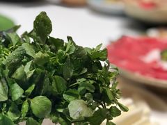 西洋菜-红鼎豆捞·非遗鲍皇汤火锅(宝丰路店)