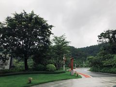 -罗浮山-南楼寺