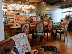 大堂-共舞时光猫咖·狗咖(新街口店)