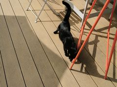 -UNIUNI(凯瑟琳广场店)