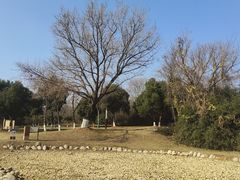 -盘龙城国家考古遗址公园