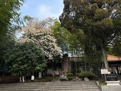 -善卷洞风景区