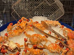 -君悦酒店·乐厨·高空自助餐(青年大街店)