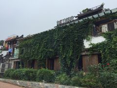 -慢丽江·云南野生菌土鸡锅(付家庄店)