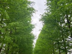 -嘉北郊野公园