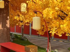 -龙湖杭州滨江天街