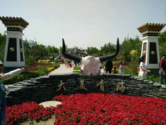 -武清南湖绿博园