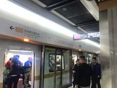 -范湖(地铁站)