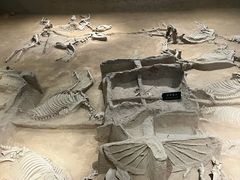 -洛阳周王城天子驾六博物馆