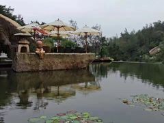 -厦门园林植物园-植物园滴水山房