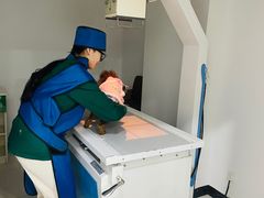 -乐嘟嘟宠物医院