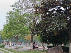-合肥生态公园