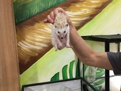 -藦茜花园宠物主题亲子互动体验馆(国顺东路店)