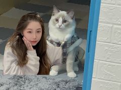 -lincat·猫舍(广州店)