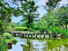 -中国科学院西双版纳热带植物园