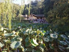 -韶山毛泽东同志故居