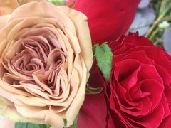 -宁波杉井奥特莱斯广场