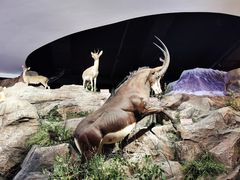 -陕西自然博物馆