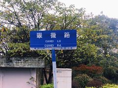 -铁山坪森林公园