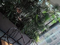 -大视光学•LINDBERG林德伯格•全球手工眼镜集合店(王府井店)