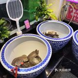 冬季进补的甲鱼锅吃一个～