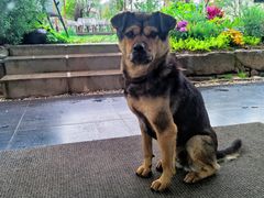 -叁山与肆客服号民宿(龙泉阳光城百工堰公园店)